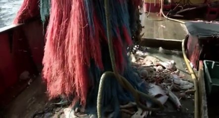 Trawlerman Tales S01 - Ep02  2 HD Watch