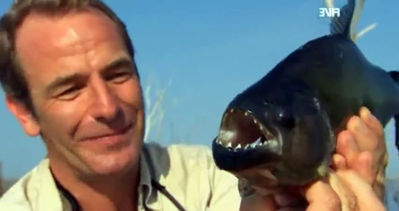 Extreme Fishing with Robson Green S04 Ep03 Cuba HD Watch Dailymotion Video