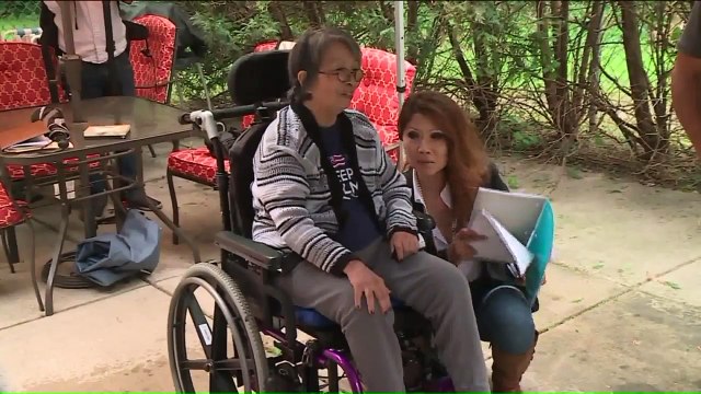 Horses Help Brighten Patients with Mental, Physical Disabilities in Chicago