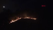 Sivas'ta Ormanlık Alanda Çıkan Yangın, Yerleşim Yerlerini Tehdit Ediyor