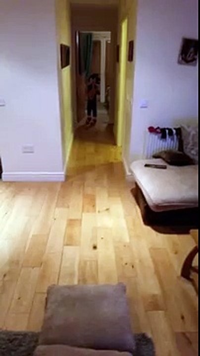 boy dress in sonic crazy costume falls whilst trying to run