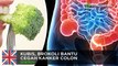 Anti-kanker: makan sayuran tertentu cegah kanker kolon - TomoNews