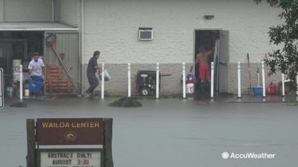 Vehicles and businesses submerged in Hilo, Hawaii