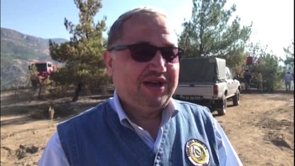 Sivas'taki Orman Yangını Söndürüldü