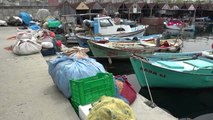 Trabzon Karadeniz'de Balıkçılar Yeni Sezondan Umutlu