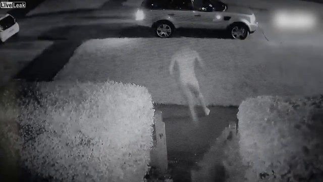 Nu il chasse un voleur de voiture la nuit devant sa maison !