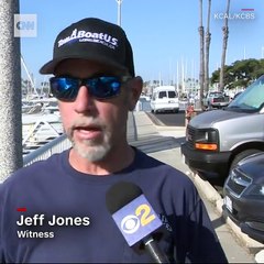 Bystanders joined rescue workers by jumping into...