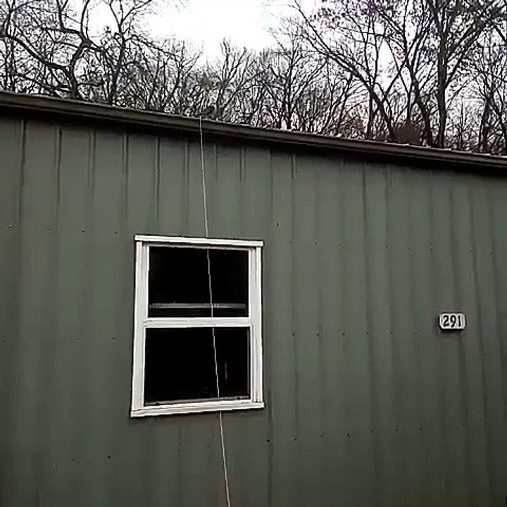 How to train your bird