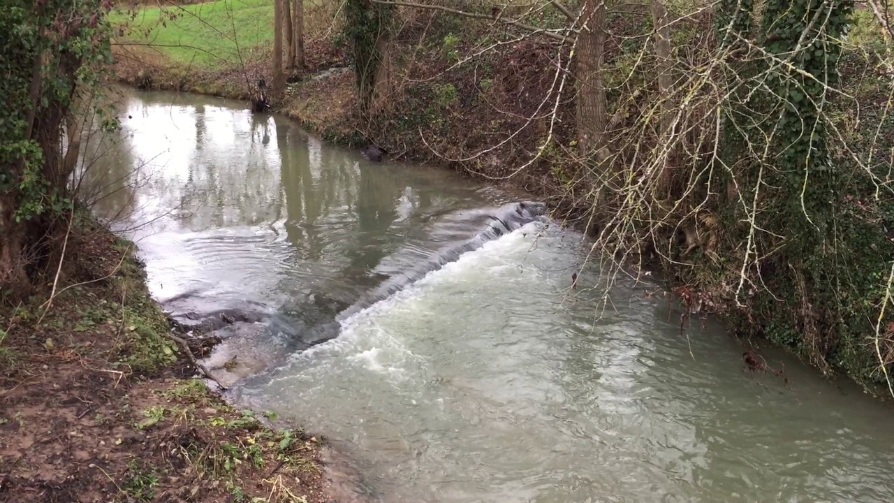 Ruisseau de Vallières - Metz - décembre 2017