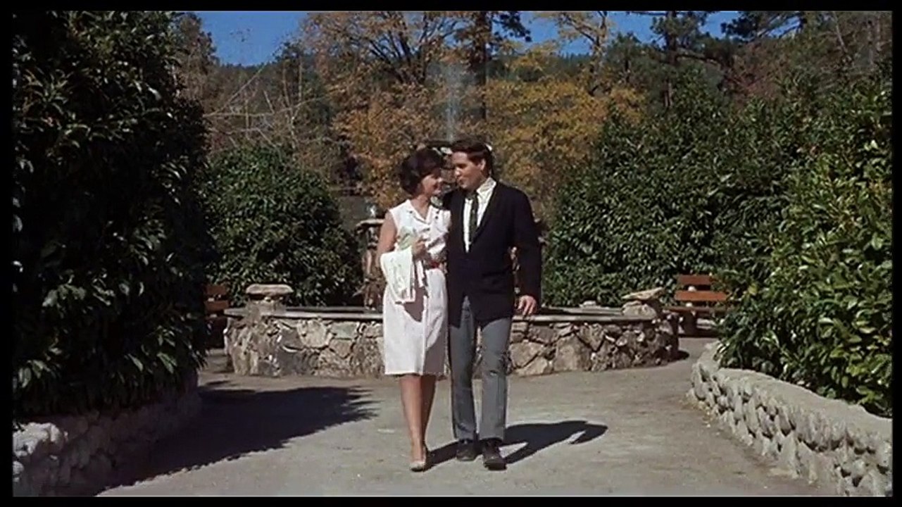 Elvis Presley - A Whistling Tune