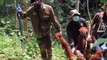 Indonésie: sauvetage d'un orang-outan, espèce menacée