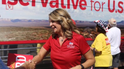 GOP Senate Candidate Suggests McCain Family Statement Was Meant To Hurt Her Campaign