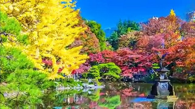 ＼東京の絶景紅葉スポット15選／高いビルに囲まれた東京にも、息を呑むほど美しい紅葉スポットがたくさんあります！夜のライトアップされた姿にもご注目！ぜひ足を運んでみてくださいね♪詳細はこちら▶ ※動画は過去に撮影されたものです。