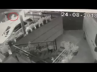 Ora News - Nënkryetarit të bashkisë Mallakastër ia dogjën makinën, Alibeaj akuza policisë