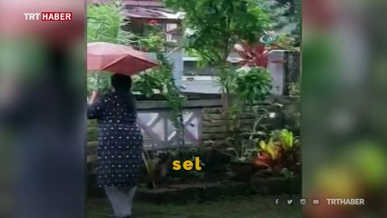 Hindistan'da sokakları yılanlar bastı