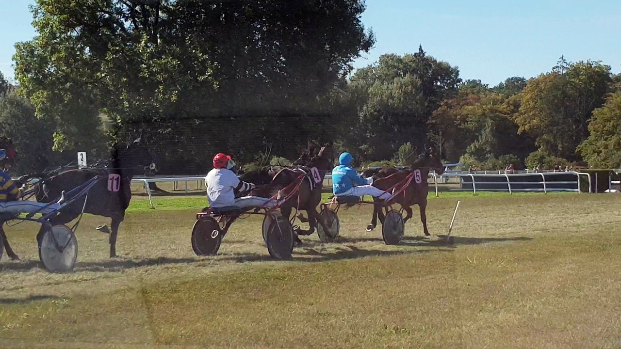 La dernière ligne droite d'une course de trot attelé vue de l'intérieur