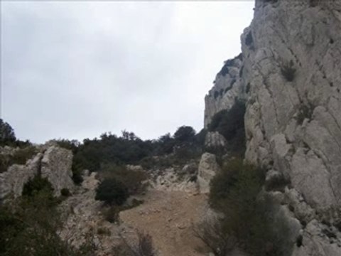 Dentelles de Montmirail