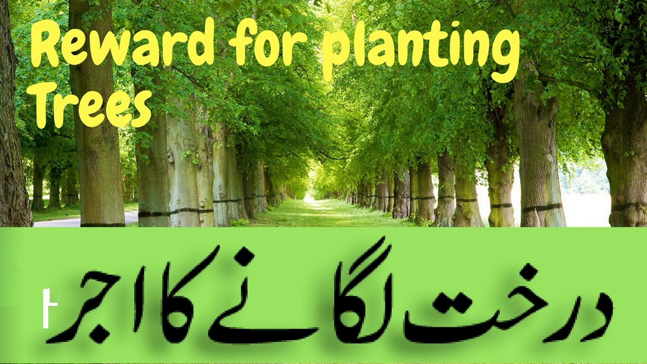 Darakht Lagane Ka Ajar (Hadeeth Ki Roshni Mane) - Reward for Planting Tree