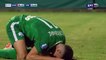 Anastasios Chatzigiovannis requests a penalty - Xanthi FC 0-1 Panathinaikos- 26.08.2018 [HD]