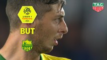 But Emiliano SALA (80ème pen) / FC Nantes - SM Caen - (1-1) - (FCN-SMC) / 2018-19