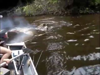 Ces pecheurs se font pourchasser par un anaconda