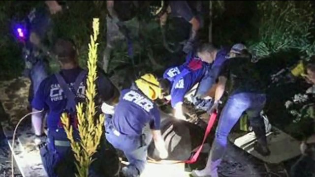 Colorado Firefighters Rescue Horse Stuck in Mud