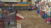 FIESTAS BORRIOL 2018 TOROS CASTELLON