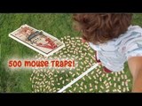 Guy Performs Slackline Tricks Over 500 Mouse Traps