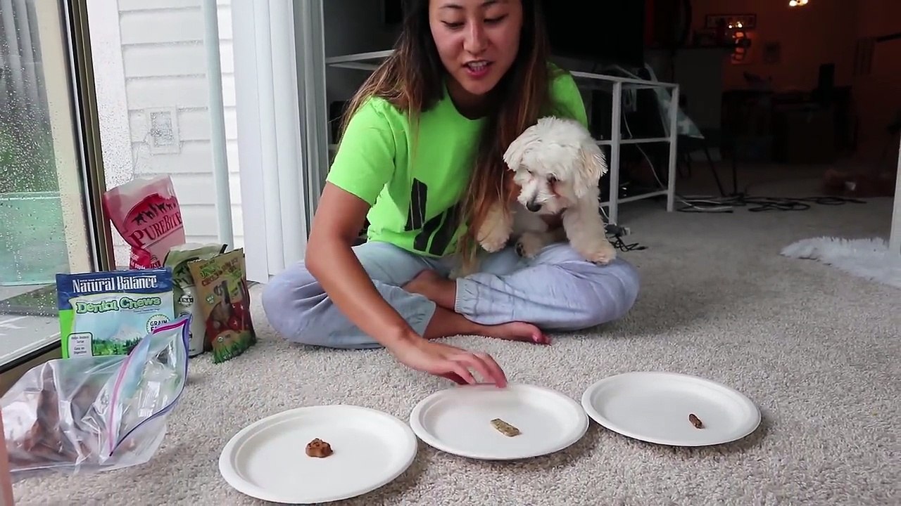 PUPPY EATS FAVORITE SNACKS!!