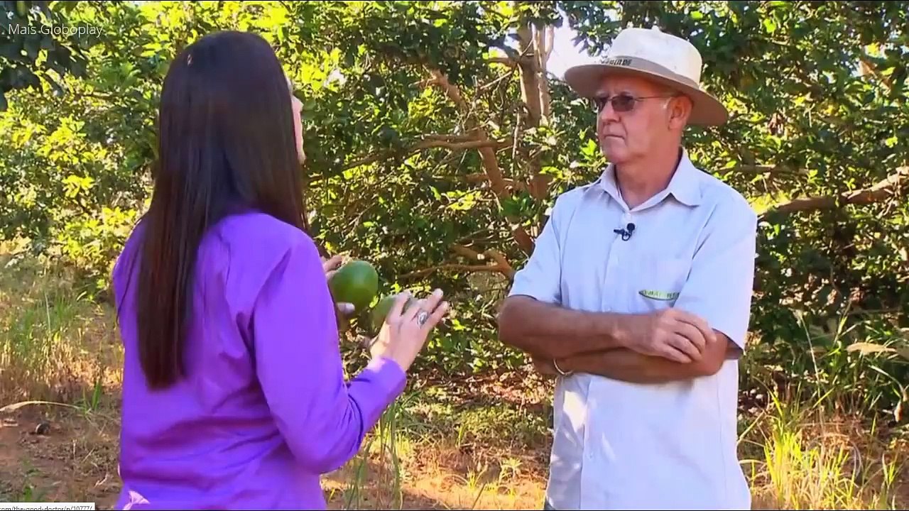 GLOBO RURAL HD - DOMINGO - 26/08/2018