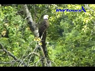 Fly fishing in Mongolia Part.2