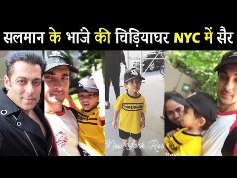 Salman के भांजे Ahil पहुंचे अपने माता पिता के संग The Central Park Zoo में | Dabangg Tour USA
