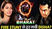Salman की BHARAT फिल्म में नहीं करेगी Disha Patani काम, जानिए पूरी कहानी
