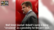 Michael Bidwill reportedly an option to fill John McCain's seat - ABC15 Sports