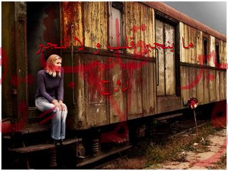 حامد زيد مكس من الاخر