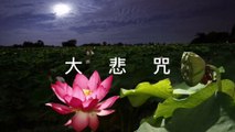 十一面觀音根本咒  甲雍喇嘛 Eleven Faced Great Compassion Mantra Nilakantha dharani だいひしんだらに  Dàbēi Zhòu  Chú đại bi มหากรุณาธารณี