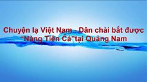 Chuyện lạ Việt Nam - Dân chài bắt được “Nàng Tiên Cá”tại Quảng Nam