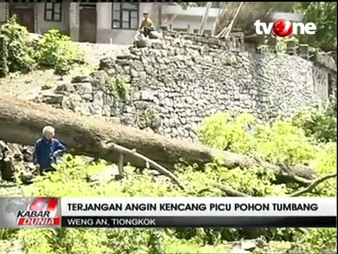 Badai dan Angin Kencang Akibatkan Sejumlah Pohon Tumbang di Tiongkok