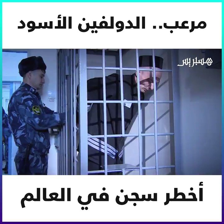 "الدولفين الأسود"  أخطر سجن في العالم.. الطريقة الوحيدة للفرار من هنا هي "الموت"