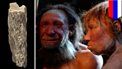 Neanderthal-Denisovan hybrid discovered in Siberian cave