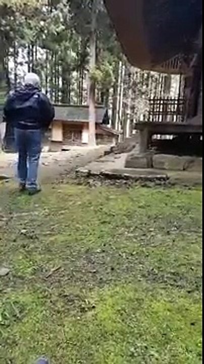 Dad fails at ringing a gong in japan
