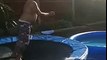 dad hits his leg on the trampoline as he tries to jump into the swimming pool