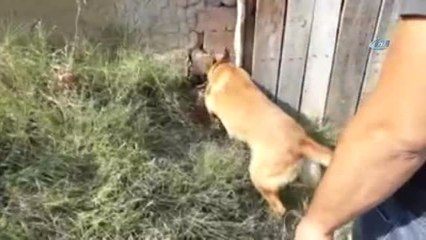 Narkotim Uyuşturucu Satıcısının 'Zulasını' Patlattı