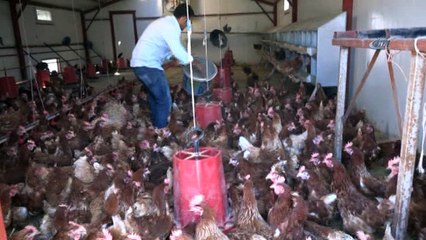 Medyada haberlerini gördü, devlet desteği ile çiftlik kurdu