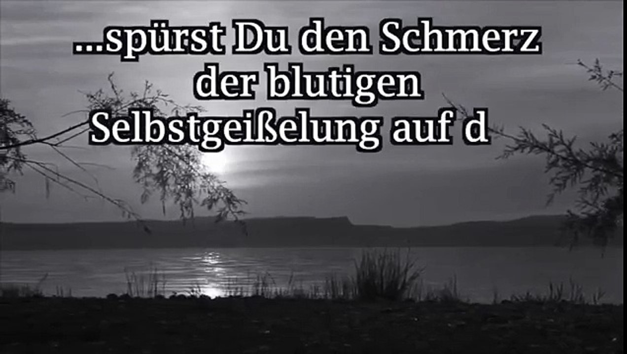 AfD zeigt, oh du armer Deutscher, von den Medien zum braunen Nazi und Realitätsverweigerer erzogen