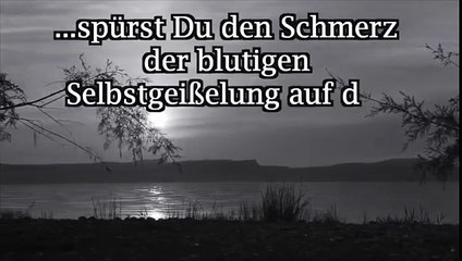 AfD zeigt, oh du armer Deutscher, von den Medien zum braunen Nazi und Realitätsverweigerer erzogen