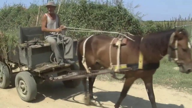 Pranë Durrësit, pa rrugë - Top Channel Albania - News - Lajme