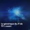 JT de 13 heures :  le nouveau générique du journal de TF1
