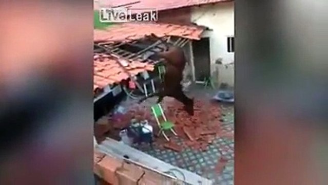 Da steht ein Pferd auf dem Flur war gestern, heute liegt es auf dem Dach und wirft Ziegelsteine nach unten. Selbst das Pferd merkt, dass in diesem Video etwas