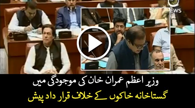 Resolution against blasphemous caricatures contest in Netherlands